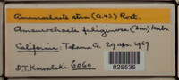 Image Associated With the Occurence